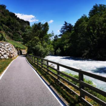 Der Etschtalradweg, landschaftlich schön und gut ausgebaut - (c) Maren Recken