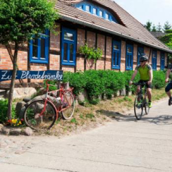 Usedom, das Naturparadies, mit dem Fahrrad entdecken - (c) Usedom Tourismus