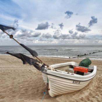 Usedom, das Naturparadies, mit dem Fahrrad entdecken - (c) Usedom Tourismus