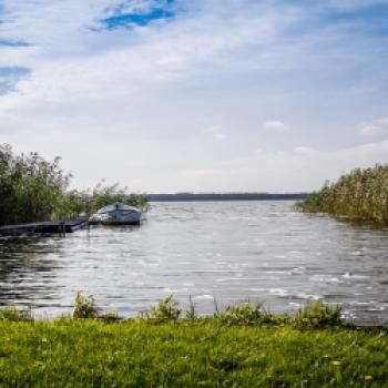 Usedom, das Naturparadies, mit dem Fahrrad entdecken - (c) Usedom Tourismus