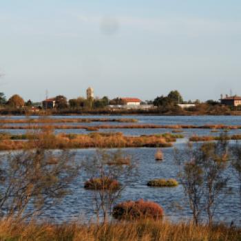 Während der Fahrt erleben wir die Lagune aus einer weiteren Perspektive hautnah. Die jodhaltige Luft bringt uns in einer leichten Prise den Geruch von Meer und Salz - (c) Jörg Bornmann