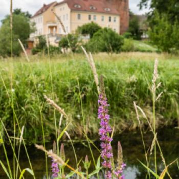 Radler auf dem Elberadweg - (c) Tourismusverband Prignitz - Markus Tiemann