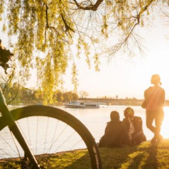 Abendstimmung beim Radeln am Seerhein bei Konstanz - (c) MTK Dagmar Schwelle