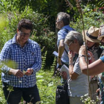 Kirchen, Kunst und Kräuterbeete - Im Kräutergarten - (c) Claudia Rinkenburger