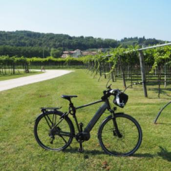 Wohnen im Weingut - Agriturismo La Pertica, die Ruhe-Oase unweit des Gardasees - (c) Jörg Bornmann