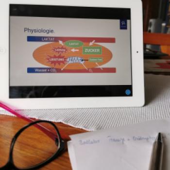 Mit dem Bike an den Computer - Virtuelles Rad Camp mit Workshops und Vorträgen für Frauen - (c) Maren Recken