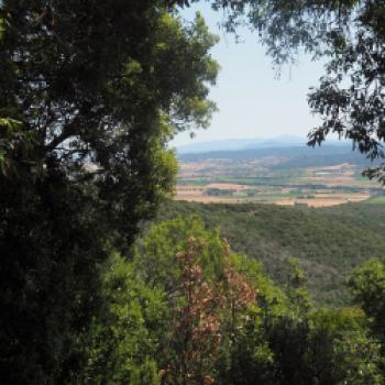 Im Parco regionale della Maremma - die Natur der Toskana mit dem Fahrrad hautnah erleben - (c) Jörg Bornmann