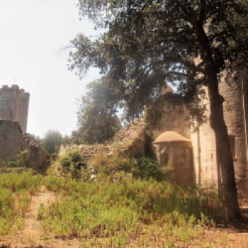 Im Parco regionale della Maremma - die Natur der Toskana mit dem Fahrrad hautnah erleben - (c) Jörg Bornmann