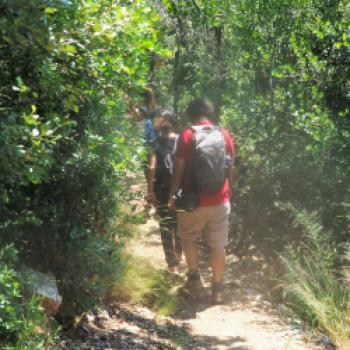 Im Parco regionale della Maremma - die Natur der Toskana mit dem Fahrrad hautnah erleben - (c) Jörg Bornmann