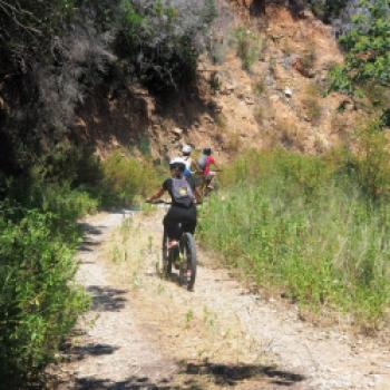 Im Parco regionale della Maremma - die Natur der Toskana mit dem Fahrrad hautnah erleben - (c) Jörg Bornmann