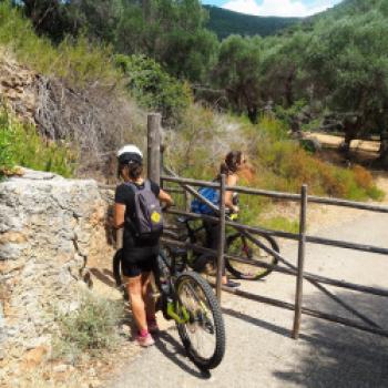 Im Parco regionale della Maremma - die Natur der Toskana mit dem Fahrrad hautnah erleben - (c) Jörg Bornmann