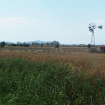 Im Parco regionale della Maremma - die Natur der Toskana mit dem Fahrrad hautnah erleben - (c) Jörg Bornmann