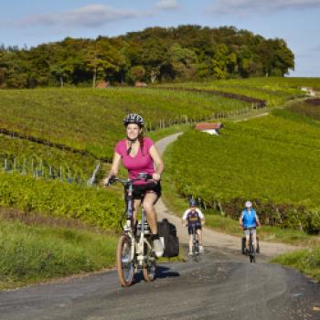 „Liebliches Taubertal“ - Fahrraddestination erster Güte - (c) Tourismusverband „Liebliches Taubertal“/Peter Frischmuth