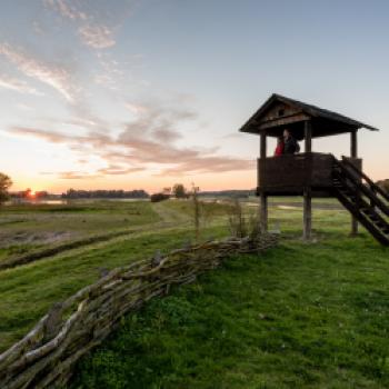 Die Prignitz ist jetzt Drehkreuz für tausende Zugvögel - für viele Arten sogar Winterquartier - (c) Markus Tiemann