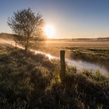 Die Prignitz ist jetzt Drehkreuz für tausende Zugvögel - für viele Arten sogar Winterquartier - (c) Markus Tiemann