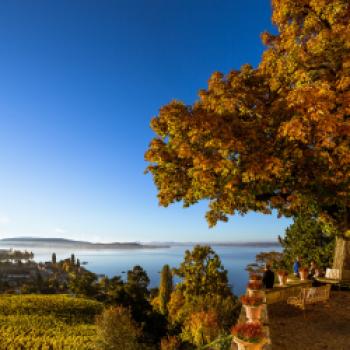 Grenzenloses Herbst-Hopping - Wenn das Licht weicher und die Schatten länger werden, ist es ein besonderes Vergnügen, mit dem Schiff über den westlichen Bodensee zu gleiten - (c) Schweizerische Schifffahrtsgesellschaft Untersee und Rhein AG