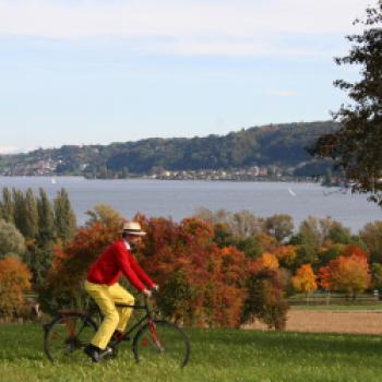 Grenzenloses Herbst-Hopping - Wenn das Licht weicher und die Schatten länger werden, ist es ein besonderes Vergnügen, mit dem Schiff über den westlichen Bodensee zu gleiten - (c) Schweizerische Schifffahrtsgesellschaft Untersee und Rhein AG
