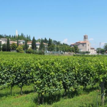 Von Peschiera del Garda nach Valeggio sul Mincio, ein gemütlicher Radausflug mit den E-Bikes von Raleigh am südlichen Gardasee - (c) Jörg Bornmann