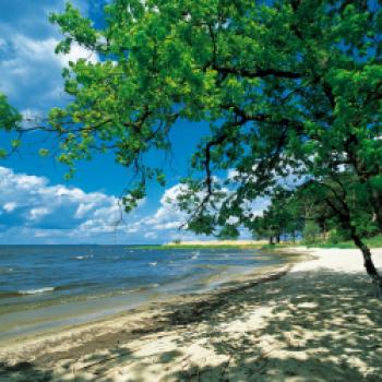 Nicht täuschen lassen: Keine Südsee. Es ist die Bucht von Altarp im Stettiner Haff. Direkt hinter dem Strand verbinden sich Binnendünen, Eichen- und Kieferwälder sowie Wacholderweiden - (c) Herbert Barnehl