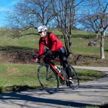 Gerade in der Anfangsphase solle man das Training klein gestalten, damit immer eine positive Erinnerung bleibt - (c) Maren Recken