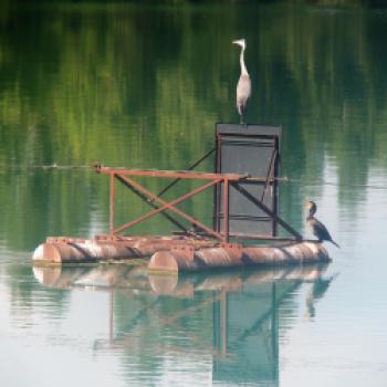 Von Peschiera del Garda nach Valeggio sul Mincio, ein gemütlicher Radausflug mit den E-Bikes von Raleigh am südlichen Gardasee - (c) Jörg Bornmann