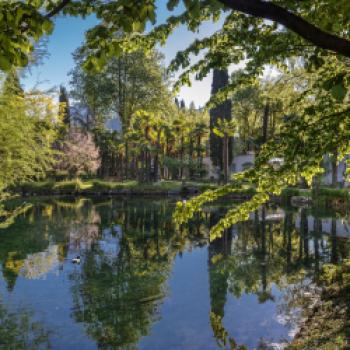 Ein Paradies am Gardasee, das Vier-Sterne-Superior Du Lac et Du Parc in Riva del Garda - (c) Du Lac et Du Parc Grand Resort