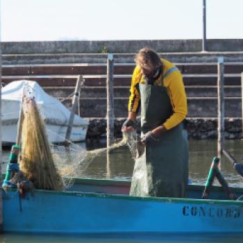 Die Genossenschaft hat sich dem nachhaltigen Fischfang verschrieben und baut für die Fischer mit dem Pescaturismo, dem Fischereitourismus, ein zweites Standbein auf - (c) Jörg Bornmann