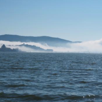 Den Lago Trasimeno mit dem Fahrrad entdeckt - Vogelschutz, Fischfang, Kultur und Kulinarik im westlichen Umbrien - (c) Jörg Bornmann