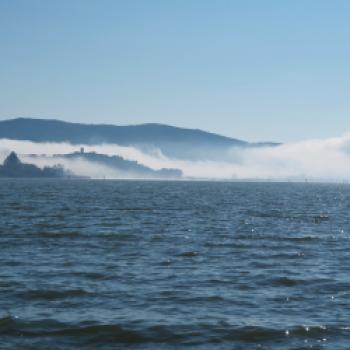 Den Lago Trasimeno mit dem Fahrrad entdeckt - Vogelschutz, Fischfang, Kultur und Kulinarik im westlichen Umbrien - (c) Jörg Bornmann