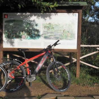 Danach genießen wir die restlichen ca. 14 km unserer Fahrradtour am Ufer des Lago Trasimeno - (c) Jörg Bornmann