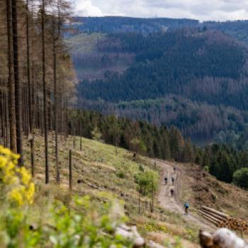 THE GRAVEL FEST 2022 - BRAUNLAGE im HARZ | 9. – 12.  Juni 2022 - DAS BLAUES LAND | 8. – 11. September 2022 - (c) THE GRAVEL FEST
