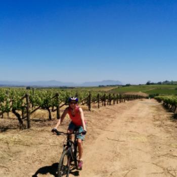 Mit dem Mountainbike geht es durch die Weinberge - (c) Christine Kroll