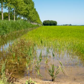 Caorle Slow Tourism – Der Luxus der Entschleunigung - (c) Maren Recken