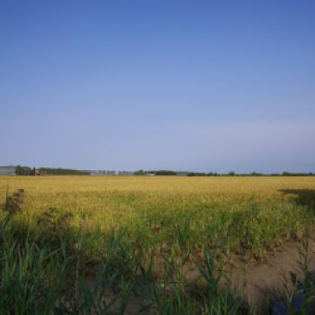 Caorle Slow Tourism – Der Luxus der Entschleunigung - (c) Maren Recken