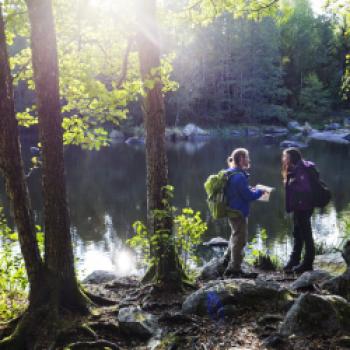 Svartadalen, Västmanland - (c) Roger Borgelid/Region Västmanland