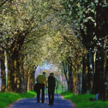 Allee des Jahres 2018 – Platz 2: Spaziergang im Frühling - (c) Dieter Rockser