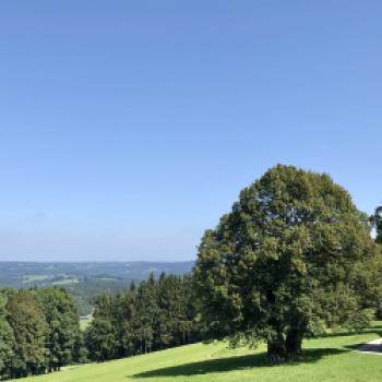 1.000 jährige Linde bei Buchberg - (c) Christine Kroll