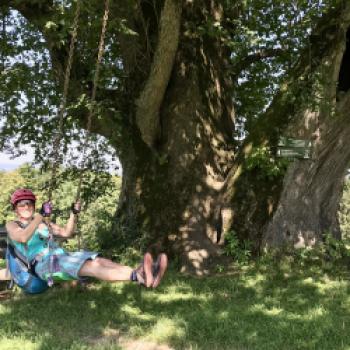 In ihrem Schatten gibt es Bäke und eine Schaukel - (c) Christine Kroll