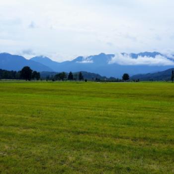 Im Hintergrund begleiten bestädig die Voralpen - (c) Christine Kroll