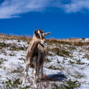 Wanderung am Passo Maniva - (c) Maren Recken