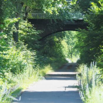 Auf dem Vulkanradweg geht es von Lauterbach nach Schlitz und dann wieder zurück zum Lauterbacher Bahnhof - (c) Jörg Bornmann