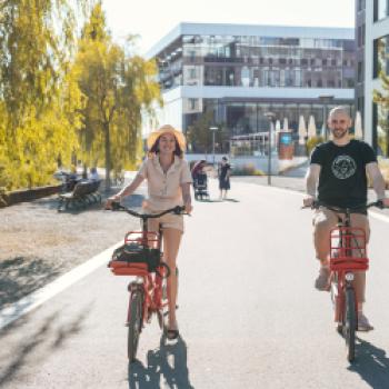 Der BodenseeRadRundweg feiert 2023 40 Jahre Jubiläum - (c) MTK/Leo Leister