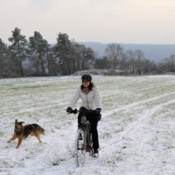 Die Spikes am Nordic Commuter bringen auf verschneitem Untergrund den notwendigen Gripp - (c) Constanze Kiefer-Volle