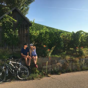 Der Weinradweg in Württemberg ist eine wunderbare Möglichkeit diese Weinregion zu entdecken - (c) LVWO Weinsberg