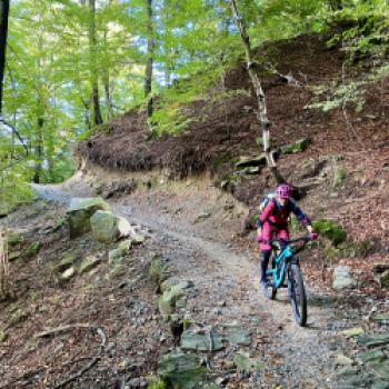 Später geht es durch den Wald ins Tal - (c) Christine Kroll