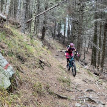 Später geht es flowiger durch den Wald - (c) Christine Kroll