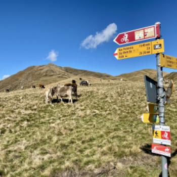 Schilder weisen auf die gemeinsame Nutzung des Weges - (c) Christine Kroll