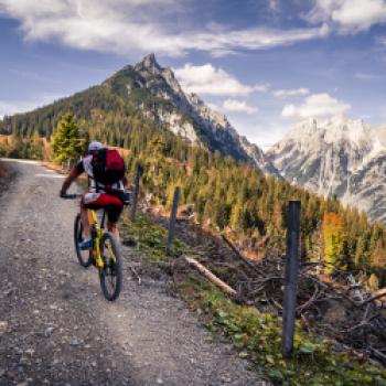 Fahrradurlaub in der Ferienregion Hall-Wattens - Mountainbike im Herbst in Gnadenwald - (c) hall-wattens.at