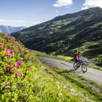 Fahrradurlaub in der Ferienregion Hall-Wattens - Mountainbiken im Vordertal - (c) hall-wattens.at