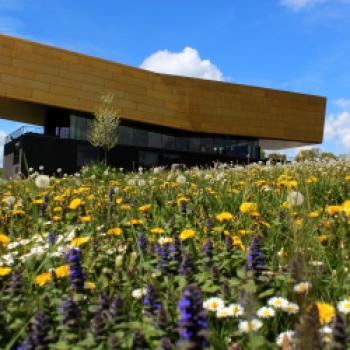 Besucherzentrum Arche Nebra in Wangen (Visitor's Centre Nebra Ark in Wangen) - (c) Arche Nebra, E. Becher